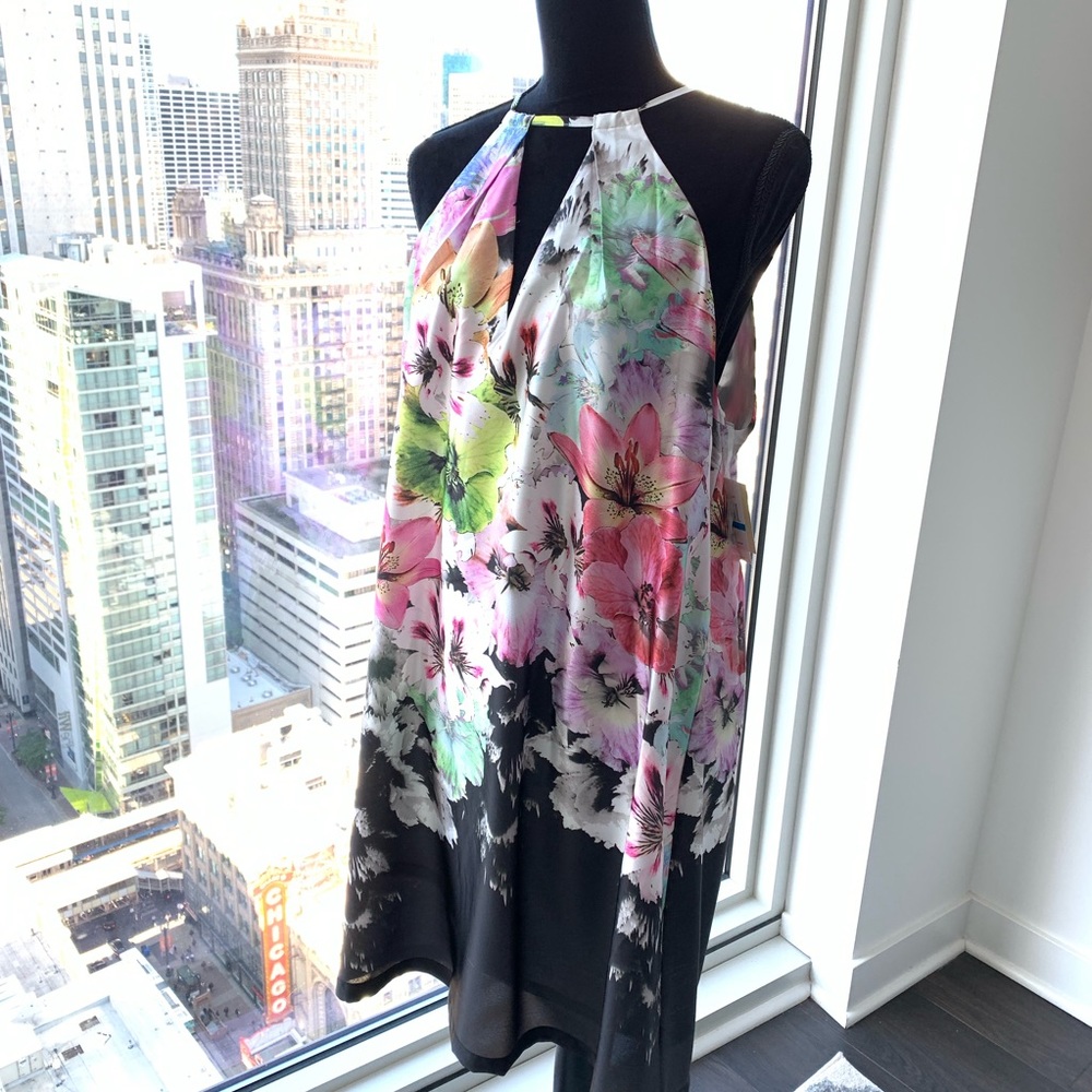 COPY - NWT Stunning Eci slip dress. Size XL. The …